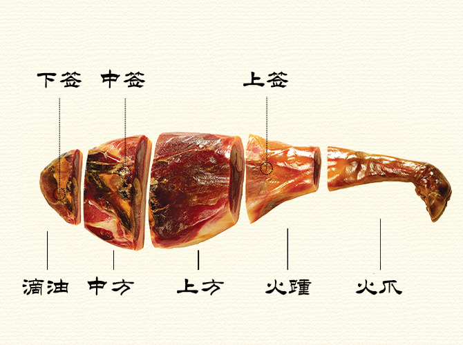 中国·太阳集团tyc9728(股份)有限公司-官方网站